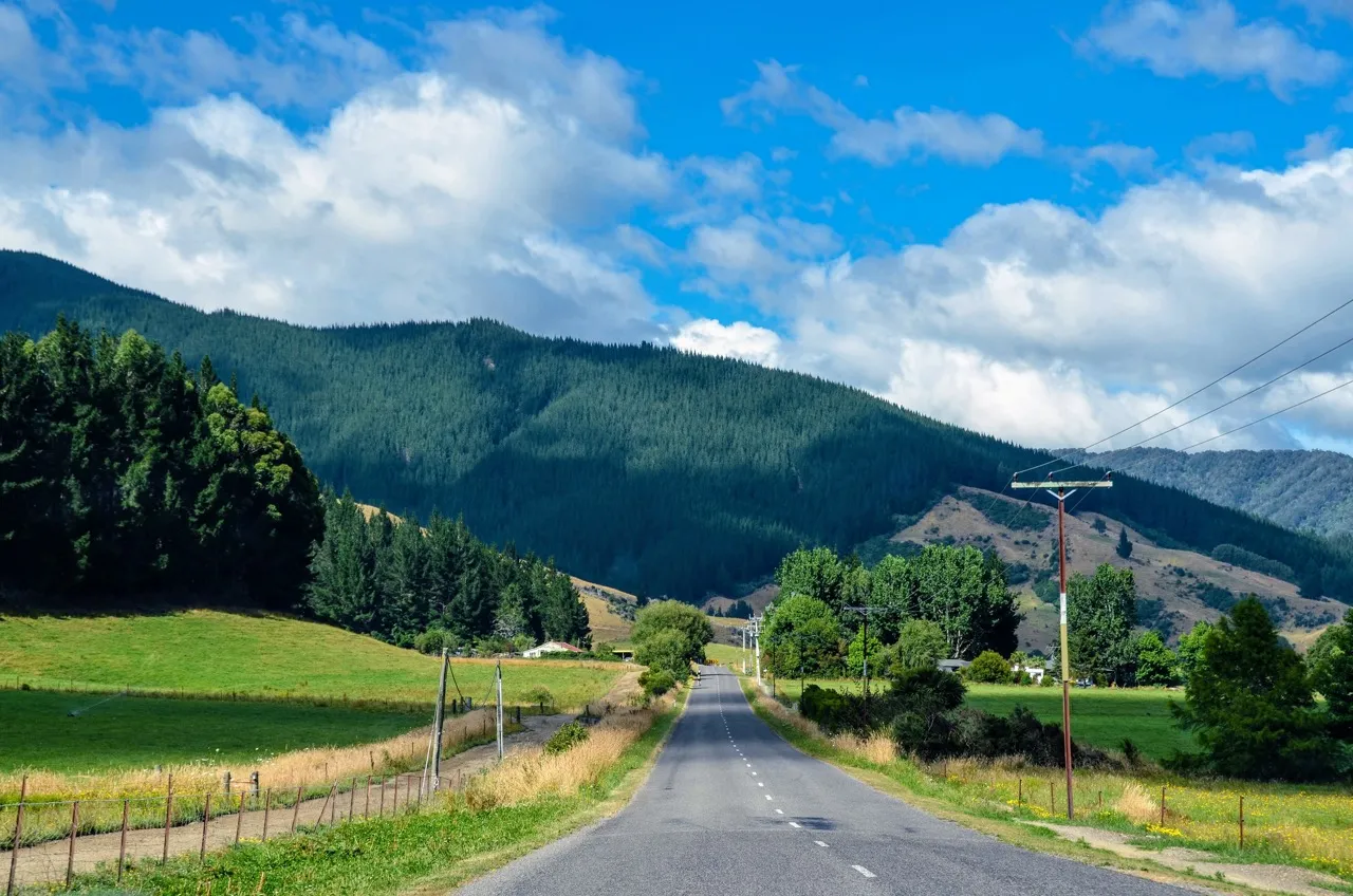 Queen Charlotte Drive